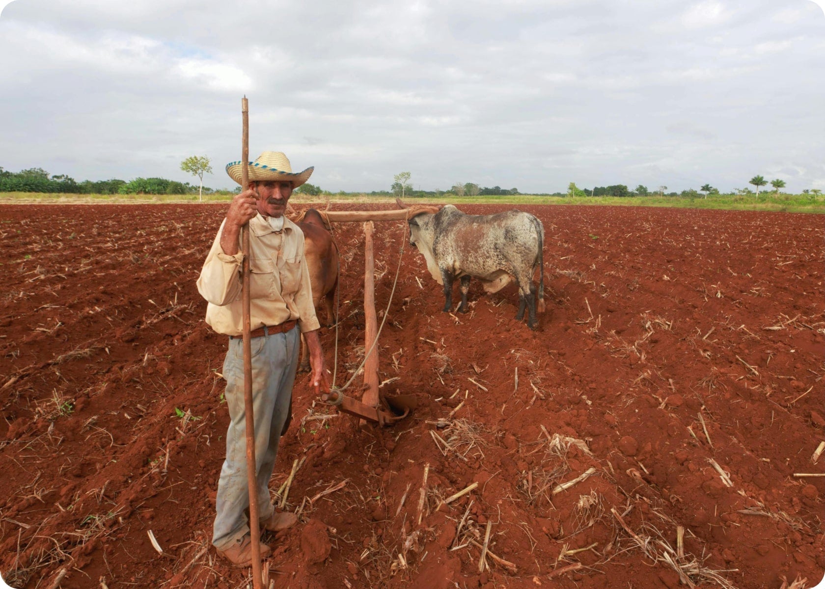 Creating a Wildlife-Friendly Garden at Home