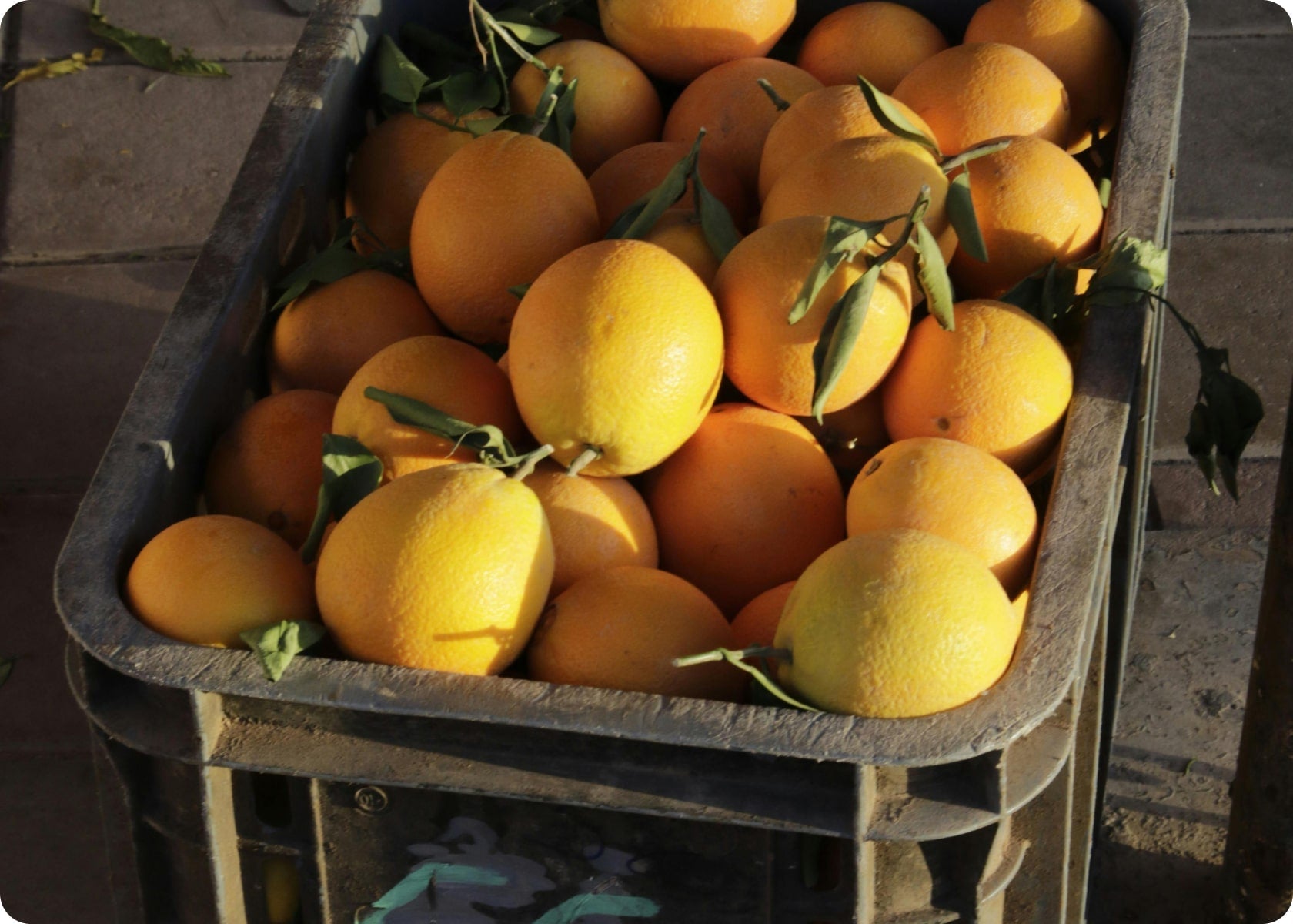 How to Choose the Perfect Planters