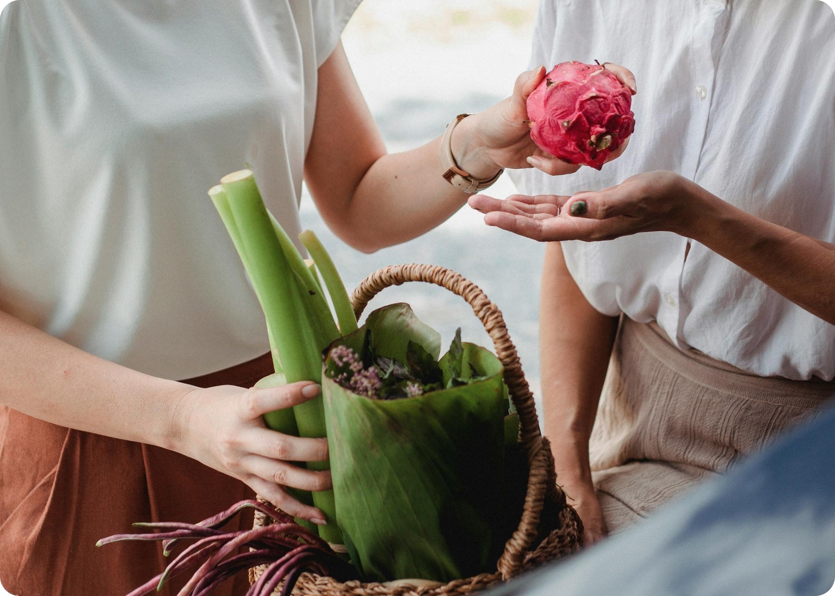 Garden Design Ideas for Small Spaces