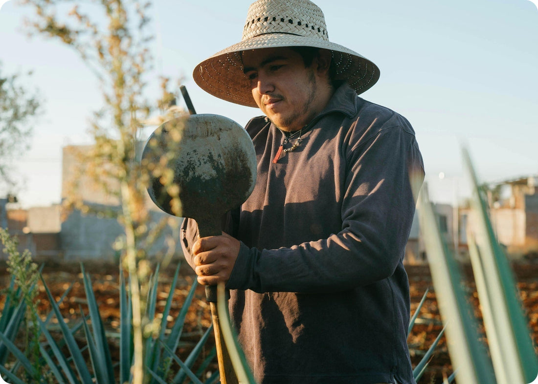 Improving Soil Health for Better Harvests