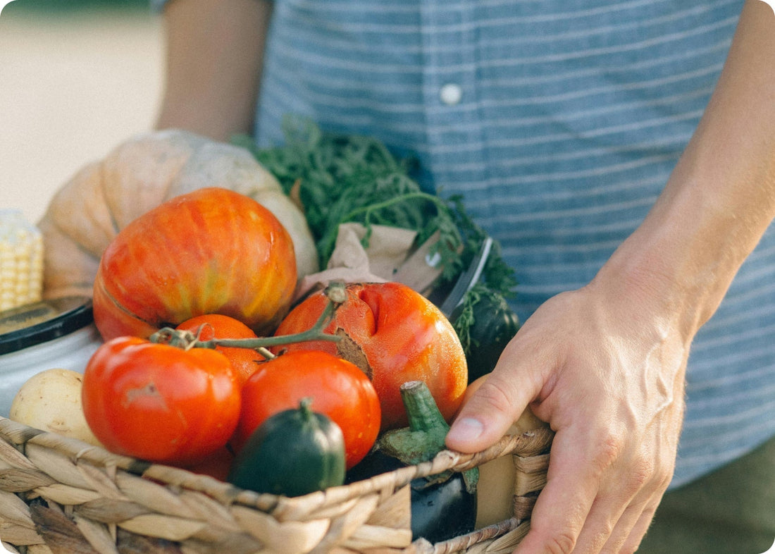 The Benefits of Raised Garden Beds