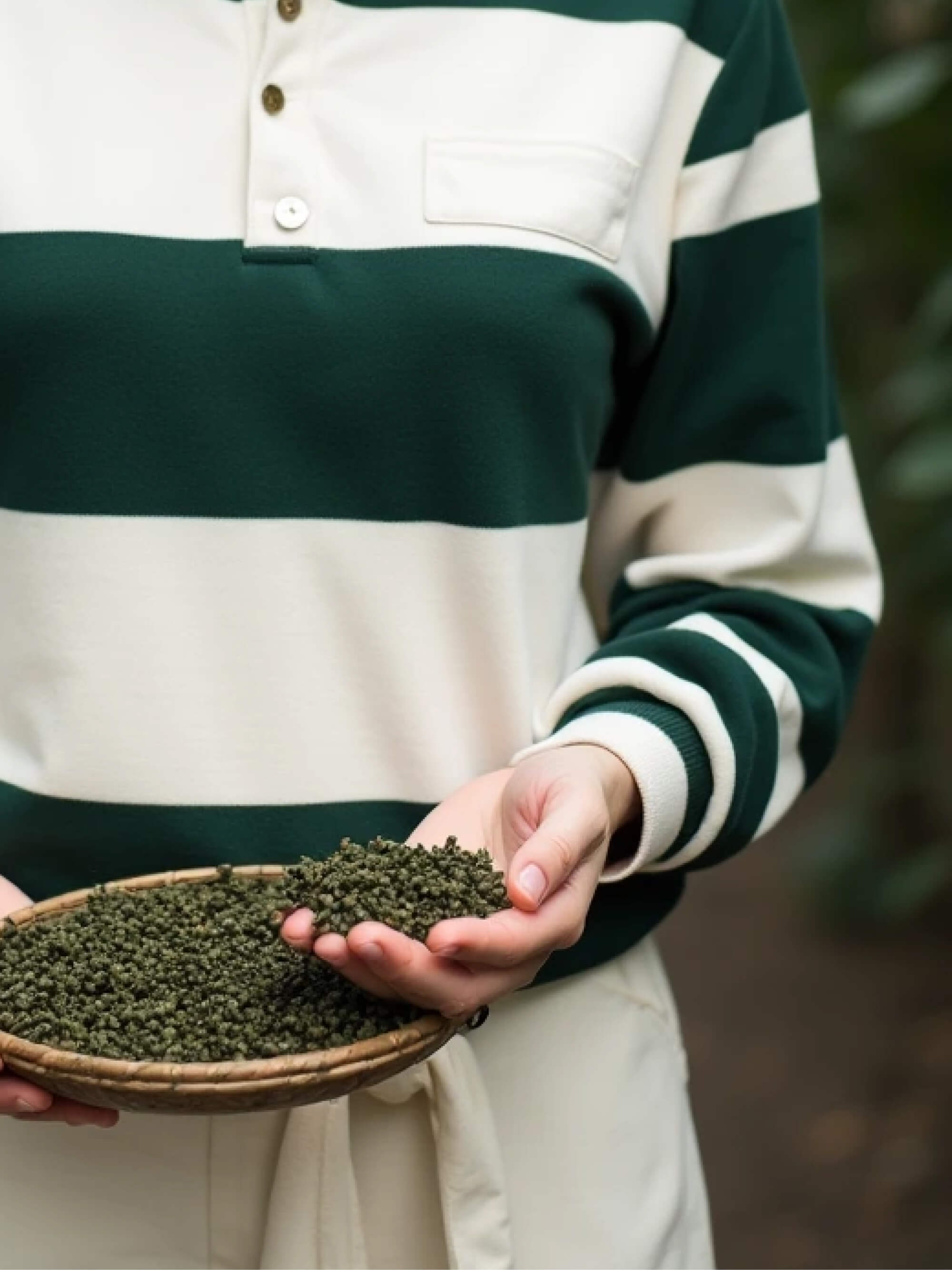 Forest Stripe Polo Sweatshirt