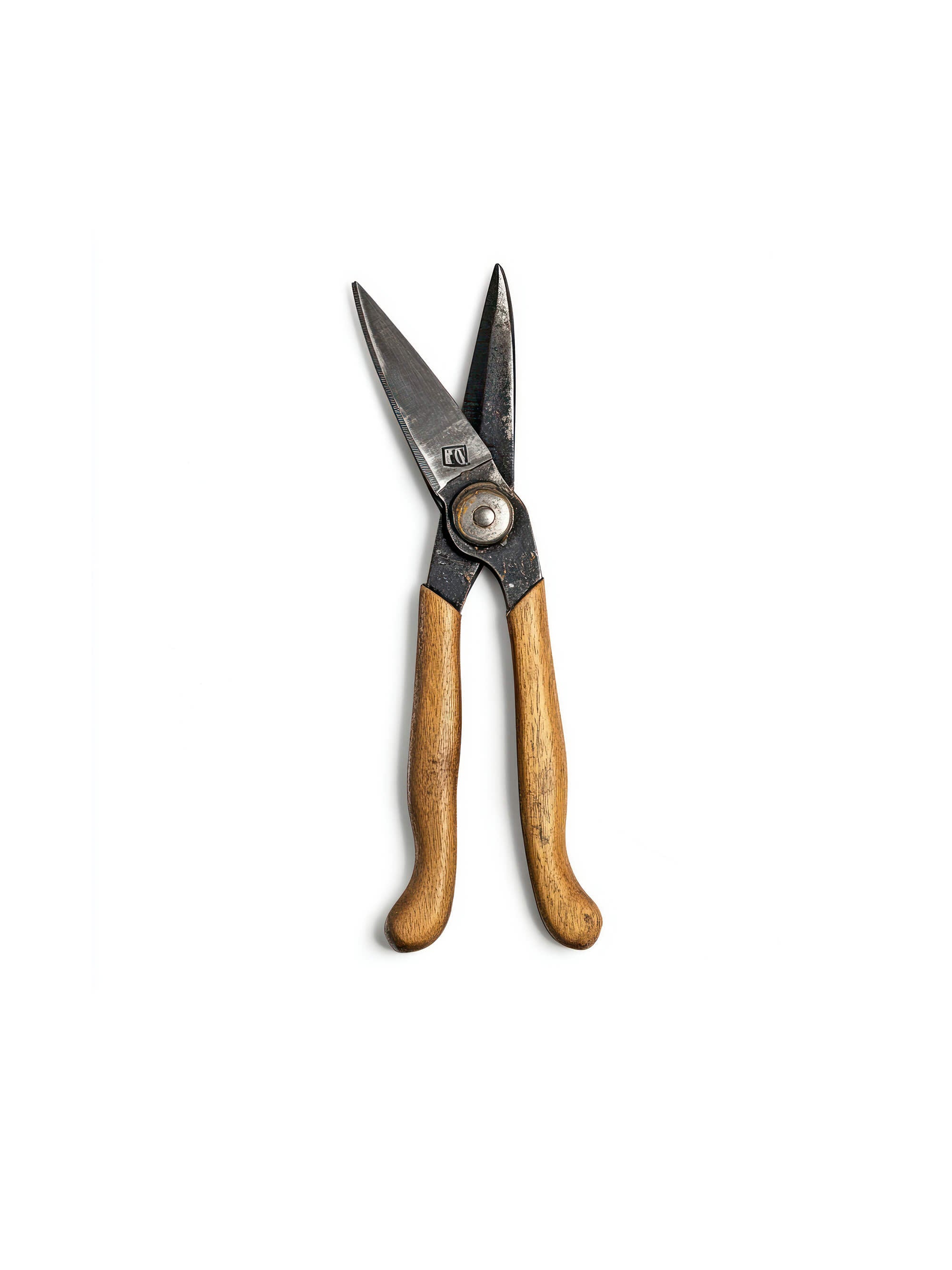 Garden Pruning Shears