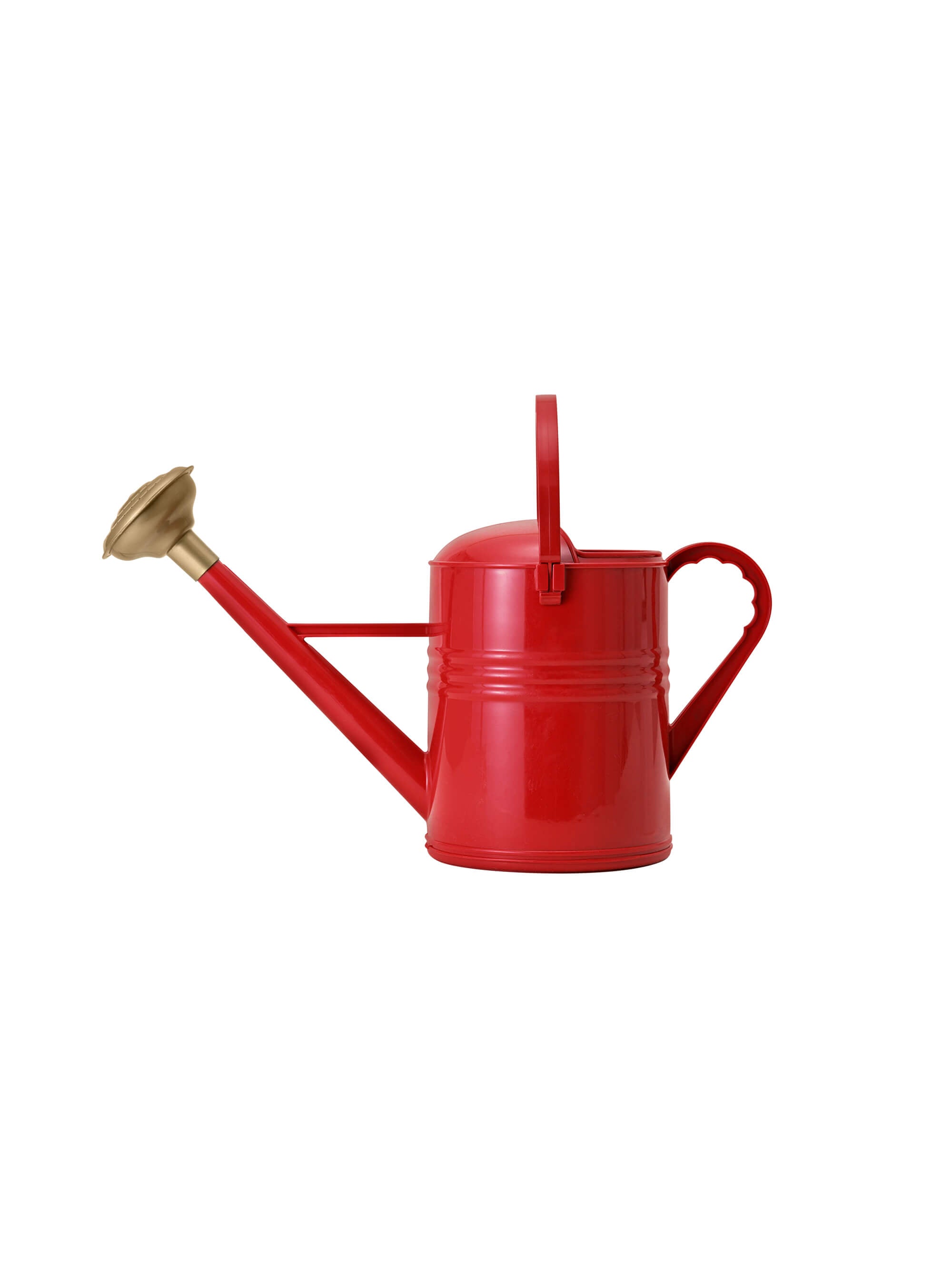 Metal Watering Can