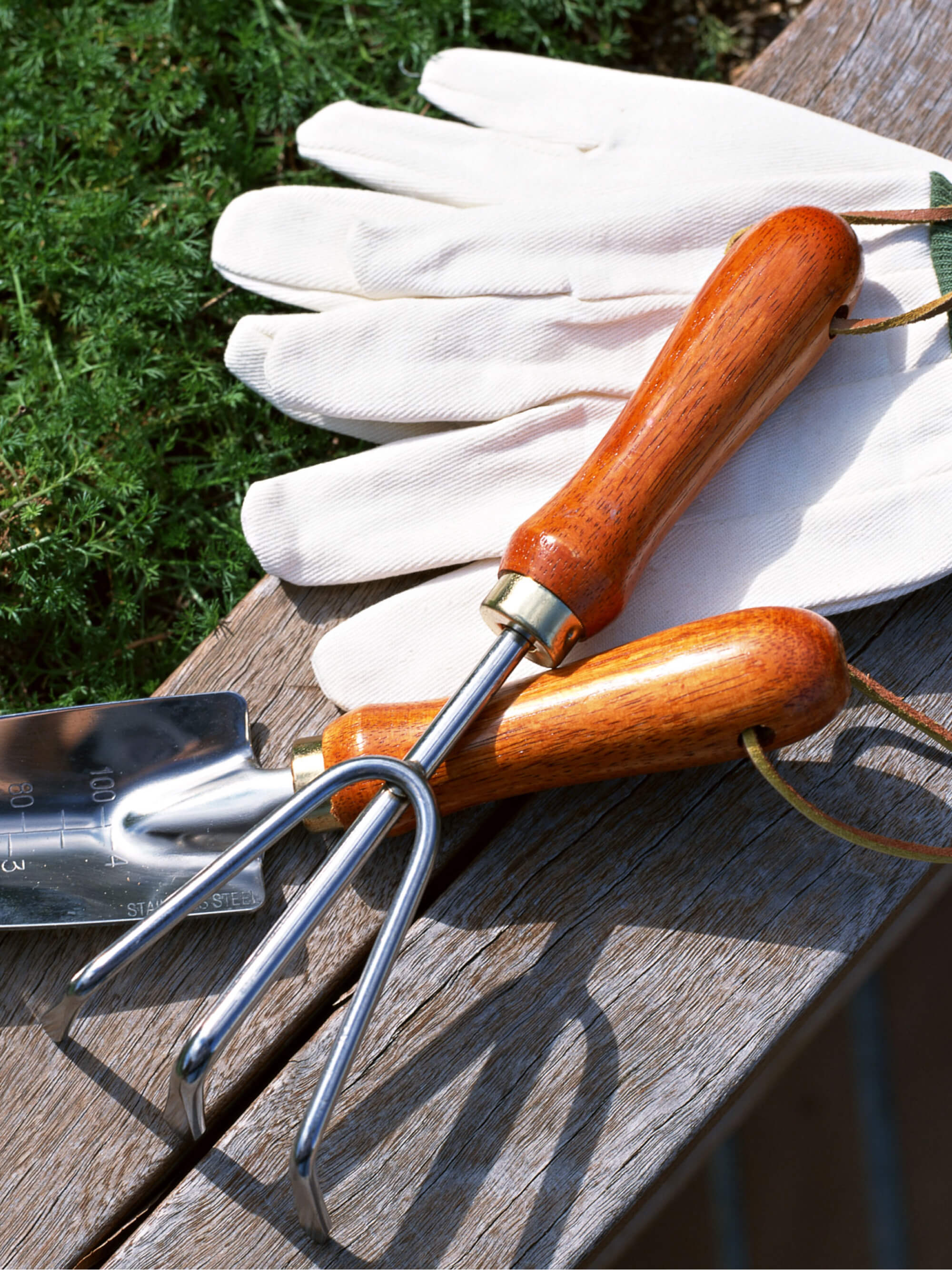 Steel Hand Cultivator